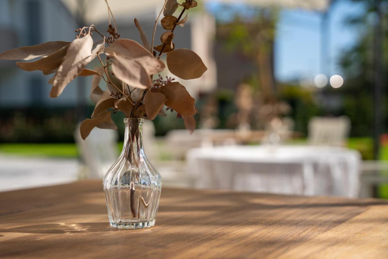 B&B Villa Ebe SantʼArcangelo di Romagna Eksteriør bilde